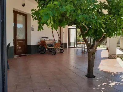 a house with a wheelbarrow parked next to a tree at Segesta Antichi Sapori in Calatafimi