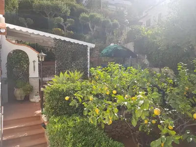 a garden with an orange tree and an umbrella at Villa del Golfo Urio with swimming pool shared by the two apartments it is essential to have a car in Santa Flavia