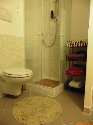 a bathroom with a shower and a toilet and a rug at Bobnb in Palermo