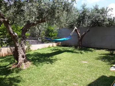 a hammock hanging between two trees in a yard at Hawaii Siciliane in Castelluzzo