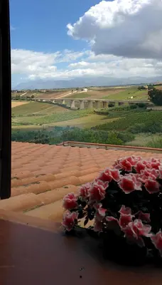 a bunch of flowers sitting on a window sill at Il Gelsomino Home Holiday in Alcamo