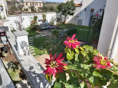 a garden with red flowers and a bench in a yard at La perla della Conca d'Oro in Palermo