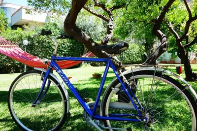 a blue bike parked in the grass next to a tree at Villa Maria in Mondello