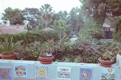 a garden with potted plants on top of a fence at Two Steps From The Sea in Scopello