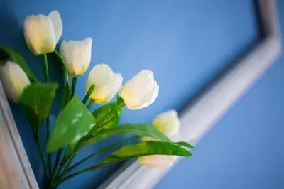 a bunch of white flowers sitting in a window at Appartamento Nettuno in Castellammare del Golfo