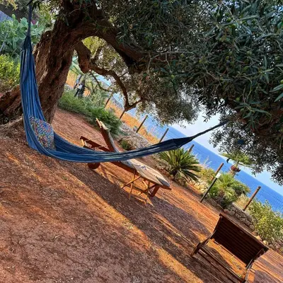 a hammock and a bench under a tree near the water at Villa Cala Bianca in Castellammare del Golfo