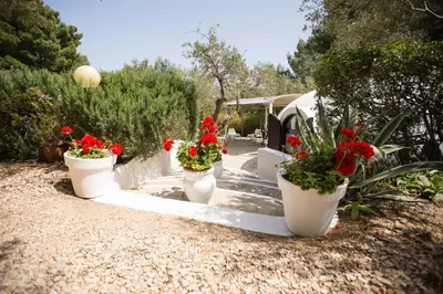 a row of white pots with red flowers in them at Residence Guidaloca in Scopello