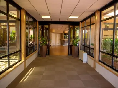 an office hallway with windows and potted plants at San Paolo Palace Hotel in Palermo