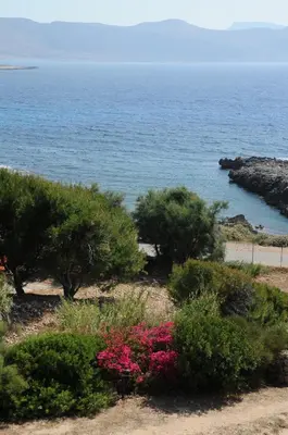 a view of the ocean with plants and flowers at Villa Tramonto in Macari