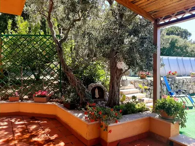 a garden with a tree and some plants at Lomarchi Holiday Home in Carini
