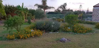a garden with flowers and plants in a yard at Maresol in Trappeto