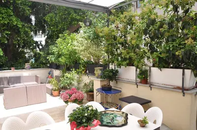 a patio with white chairs and potted plants at Trikeles in Palermo