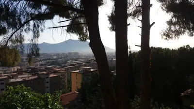 a view of a city from behind some trees at Villa Giannì in Palermo