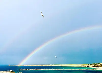 a rainbow in the sky over the water with a bird at Le Quattro Perle in Terrasini