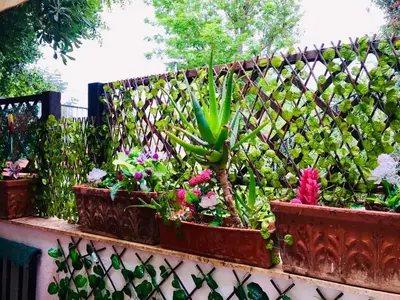 a fence with several potted plants and flowers at House in Mondello in Mondello