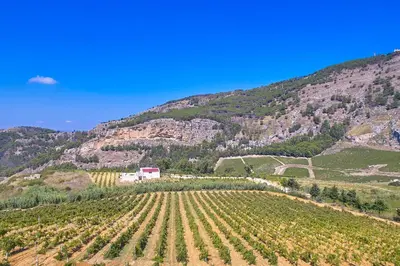 a farm in the mountains with a van in a field at Villa Bonifato vista sulle campagne e sul mare siciliano COZY HOUSE ITALY in Alcamo