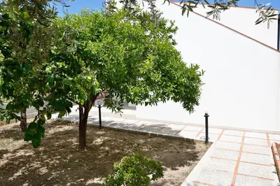 a tree in a yard next to a white wall at casa verdemare in Cefalù