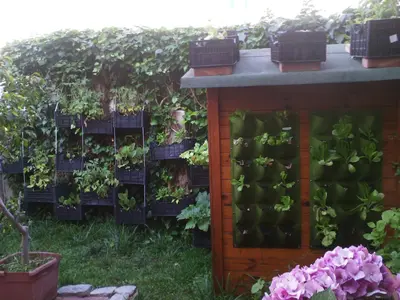 a garden with green plants on a wall at Apartment Ro a Mondello in Mondello