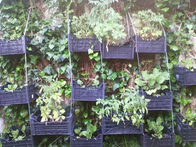 a wall of black baskets filled with plants at Apartment Ro a Mondello in Mondello