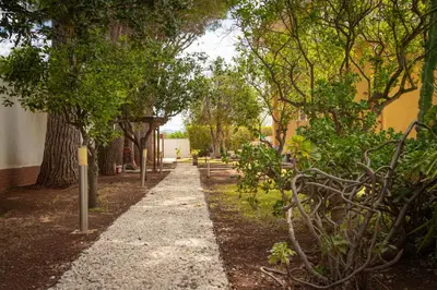 a path through a garden with trees and a building at Maison Blanche in Palermo
