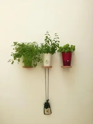 three potted plants are hanging on a wall at Le Luminarie - Creative Residence in Balestrate