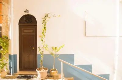 a staircase with two potted plants in front of a door at Chibedda Dimora Cesca in Castellammare del Golfo