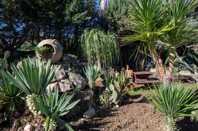 a garden with palm trees and a wooden bench at Villa Eden con piscina a Scopello in Castellammare del Golfo