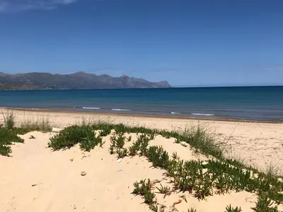 a beach with plants in the sand and the ocean at Tonnara Apartments in Alcamo Marina