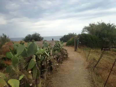 a prickly pear plant on a dirt road at Le 3 tartarughe in Lascari