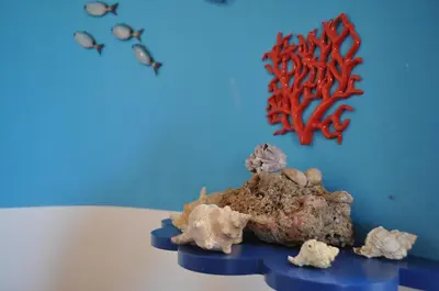 a group of rocks and coral on a blue wall at Villa Hibisco in San Vito lo Capo