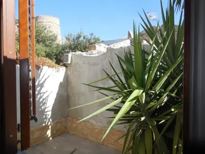 a plant in front of a stone wall at New Eden in San Vito lo Capo