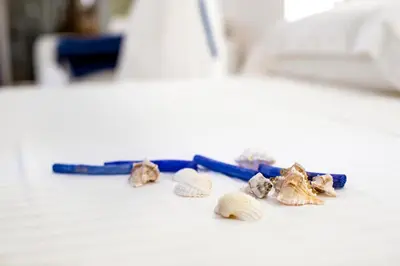 a group of seashells sitting on a table at Il Mare Dentro Rooms in San Vito lo Capo