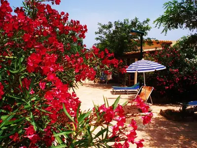 a garden with red flowers and an umbrella and a chair at Baglio Del Sole in San Vito lo Capo