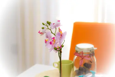 a vase filled with pink flowers and a mason jar at Capo House in Palermo
