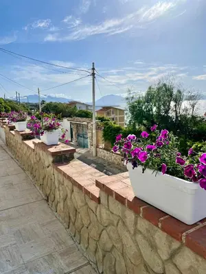 a row of potted flowers on a stone wall at Villa sul mare Palazzolo in Trappeto