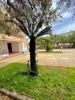 a palm tree in the middle of a field of grass at Villa sul mare Palazzolo in Trappeto
