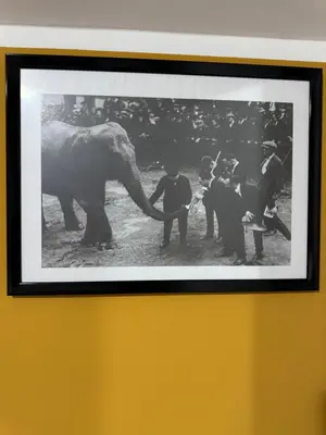 a black and white picture of a group of men with an elephant at Palace Bed & Breakfast in Salaparuta