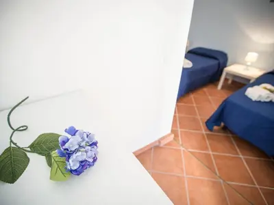 a blue flower sitting on a counter in a room at Appartamento gli archi a 100 metri dalla spiaggia in Castellammare del Golfo