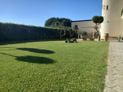 a person sitting on the grass in a yard at Villa Eagle in Terrasini