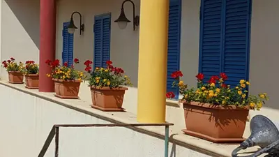 a row of flower pots on a building with blue shutters at Villa Mare Ficarazzi in Ficarazzi