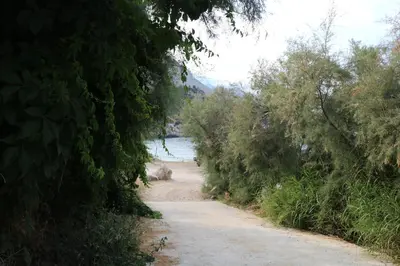 a dirt road with trees on the side of a river at Azzurra Tresor in Scopello