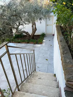 a set of stairs with a door and a tree at Suite Panoramic in Porticello