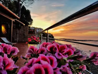 a bunch of pink flowers sitting on the beach at Brezza Marina Guesthouse in Cefalù