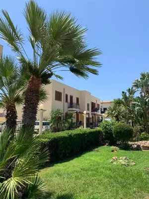 a palm tree in a yard next to a building at Coral sea in San Vito lo Capo
