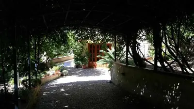 an entrance to a garden with trees and a building at Casa Rosalba in San Vito lo Capo