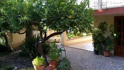 a group of potted plants in front of a building at Casa Rosalba in San Vito lo Capo