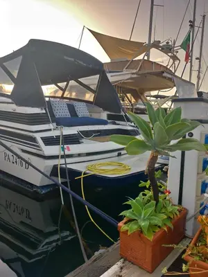a group of boats docked at a dock with a plant at Desirè Charming House Boat in Palermo