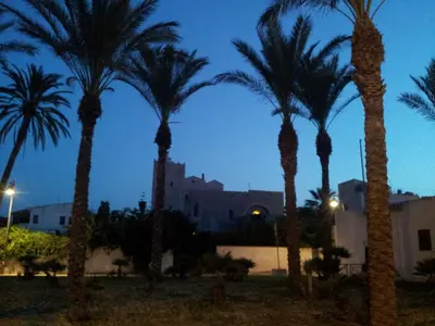 a group of palm trees in front of a building at HOME HOLIDAY PINO&FABIANA in San Vito lo Capo