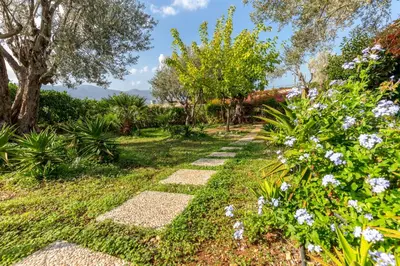 a path through a garden with flowers at Villa Violetta in Carini