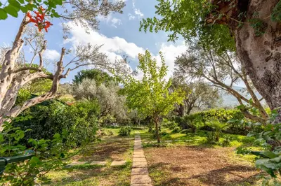 a garden with trees and a path at Villa Violetta in Carini